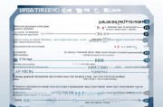 CDK码领取指南，步骤与技巧全解析